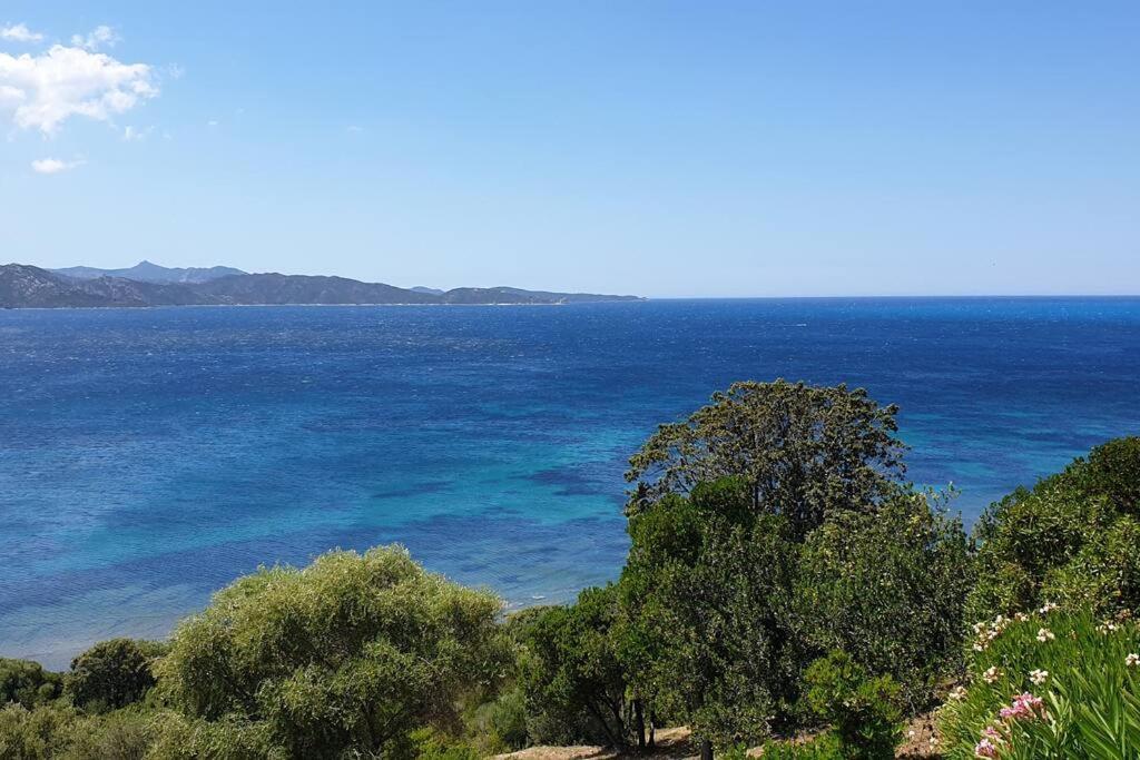 Appartement Sur La Baie De Saint Florent Patrimonio Exterior photo